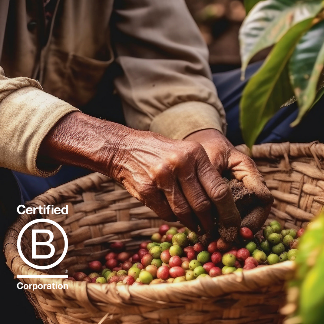 Spring Valley Coffee — Certified B Corporation
