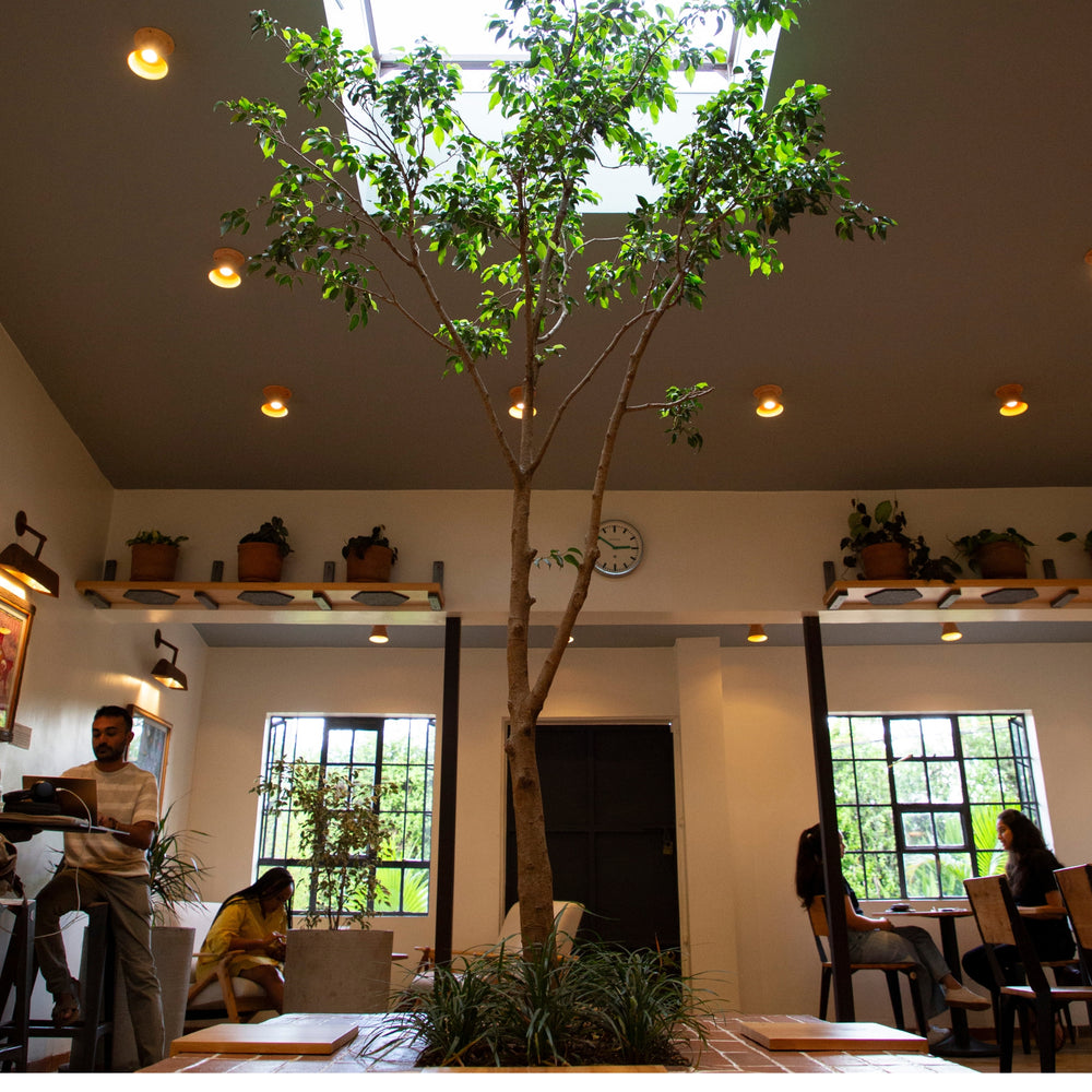 Springvale Cafe Spring Valley Cafés | Nairobi & London Locations