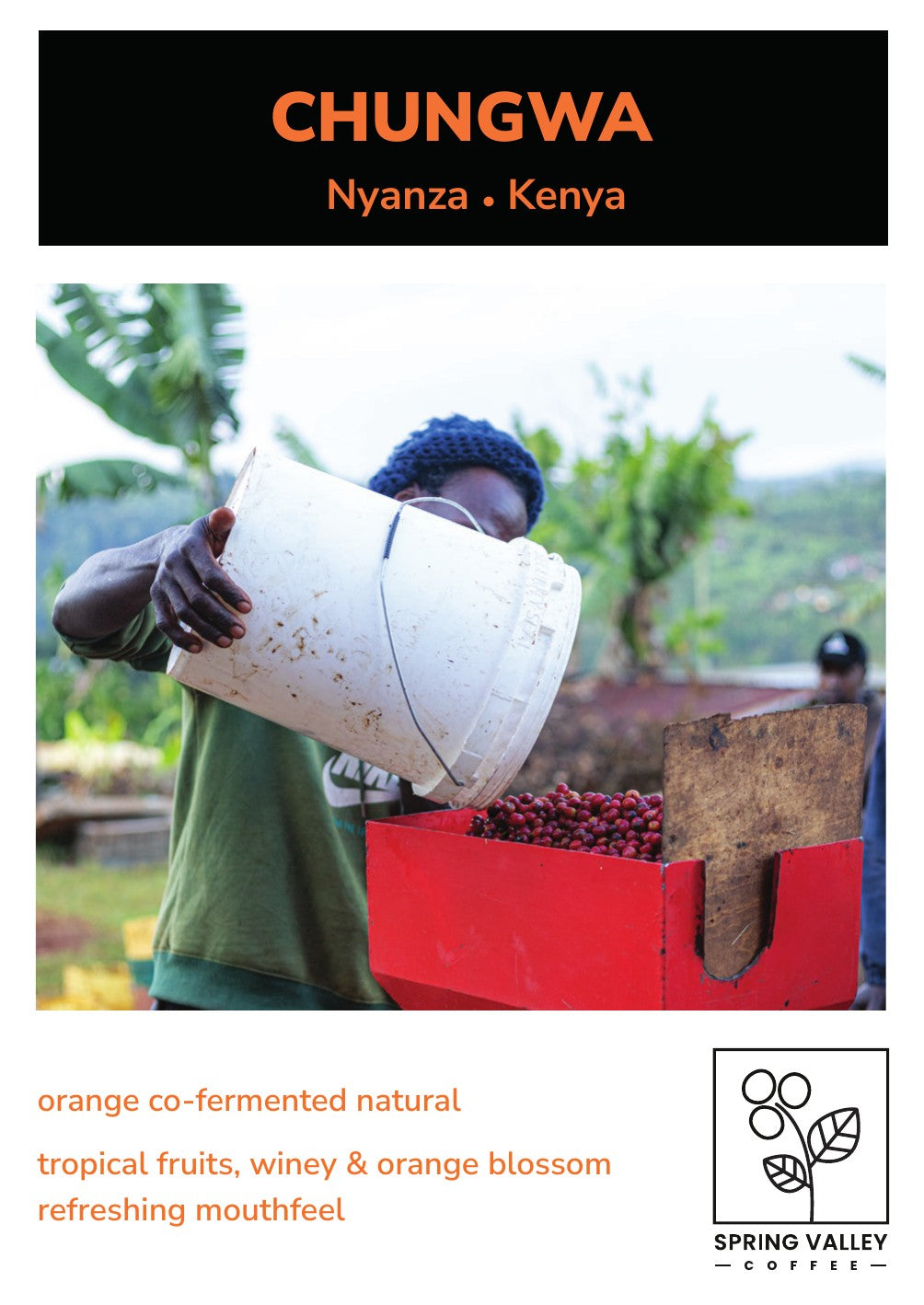 Chungwa info card front
