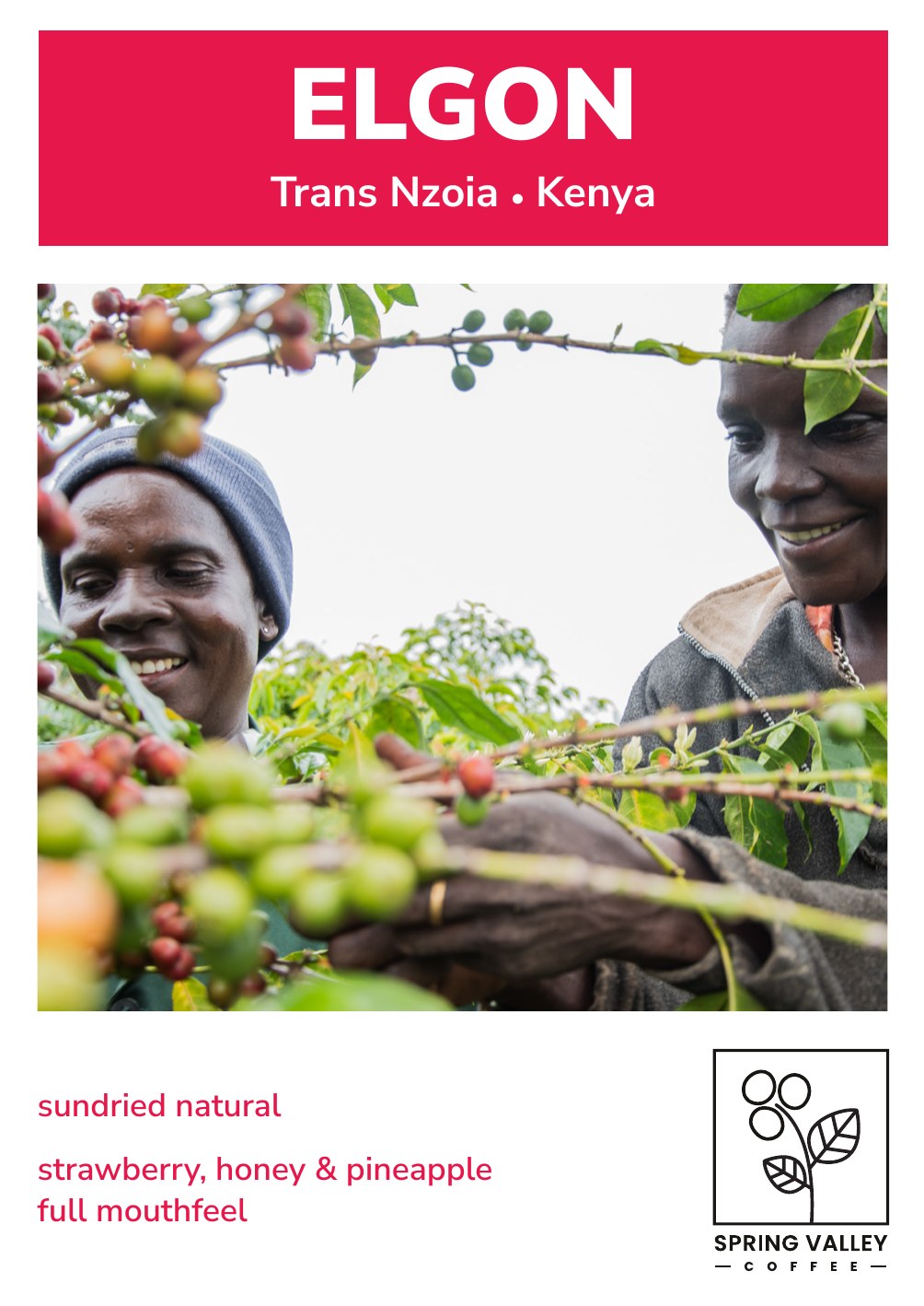Elgon info card front