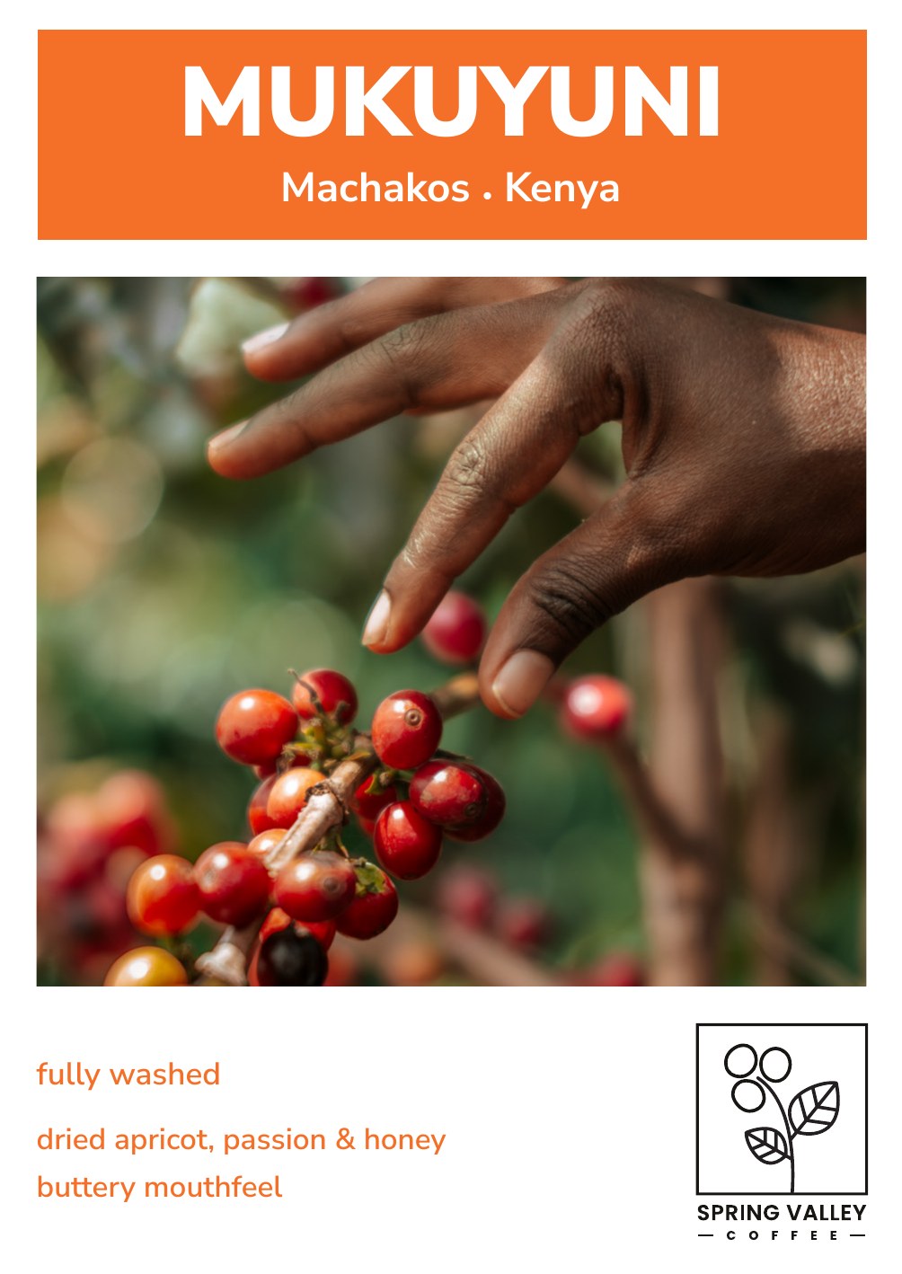 Mukuyuni info card front