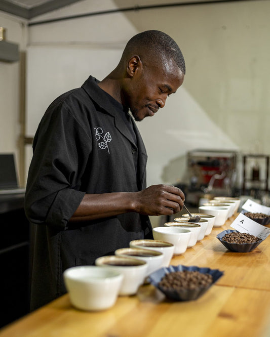 Coffee cupping at Spring Valley Coffee